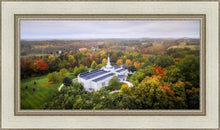 Load image into Gallery viewer, Palmyra and Sacred Grove Aerial
