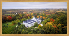 Load image into Gallery viewer, Palmyra and Sacred Grove Aerial
