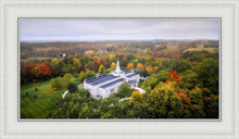 Load image into Gallery viewer, Palmyra and Sacred Grove Aerial
