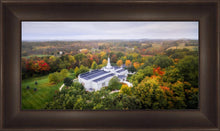 Load image into Gallery viewer, Palmyra and Sacred Grove Aerial
