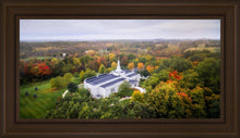 Load image into Gallery viewer, Palmyra and Sacred Grove Aerial

