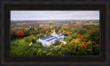Load image into Gallery viewer, Palmyra and Sacred Grove Aerial
