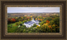 Load image into Gallery viewer, Palmyra and Sacred Grove Aerial
