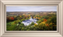 Load image into Gallery viewer, Palmyra and Sacred Grove Aerial
