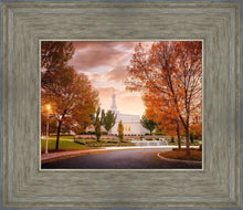 Load image into Gallery viewer, Palmyra Autumn
