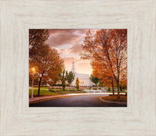 Load image into Gallery viewer, Palmyra Autumn
