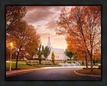 Load image into Gallery viewer, Palmyra Autumn
