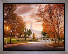 Load image into Gallery viewer, Palmyra Autumn
