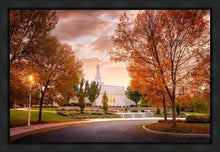 Load image into Gallery viewer, Palmyra Autumn
