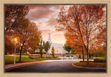 Load image into Gallery viewer, Palmyra Autumn
