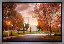 Load image into Gallery viewer, Palmyra Autumn
