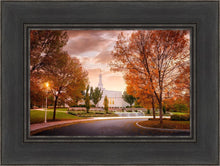 Load image into Gallery viewer, Palmyra Autumn

