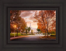 Load image into Gallery viewer, Palmyra Autumn
