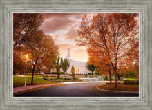 Load image into Gallery viewer, Palmyra Autumn
