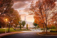 Load image into Gallery viewer, Palmyra Autumn
