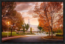Load image into Gallery viewer, Palmyra Autumn
