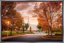 Load image into Gallery viewer, Palmyra Autumn
