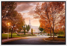Load image into Gallery viewer, Palmyra Autumn
