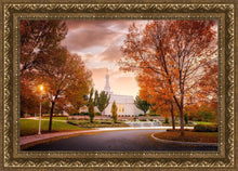 Load image into Gallery viewer, Palmyra Autumn
