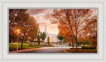 Load image into Gallery viewer, Palmyra Autumn
