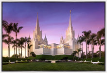 Load image into Gallery viewer, San Diego Lavender
