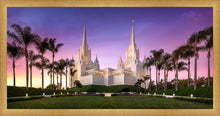 Load image into Gallery viewer, San Diego Lavender
