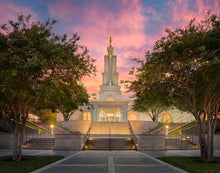 Load image into Gallery viewer, San Antonio Fiery Glow
