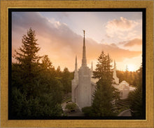 Load image into Gallery viewer, Portland High Glow
