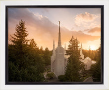 Load image into Gallery viewer, Portland High Glow
