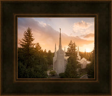 Load image into Gallery viewer, Portland High Glow
