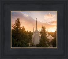 Load image into Gallery viewer, Portland High Glow
