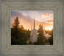Load image into Gallery viewer, Portland High Glow
