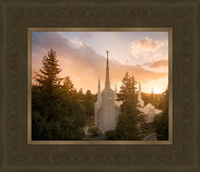 Load image into Gallery viewer, Portland High Glow
