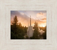 Load image into Gallery viewer, Portland High Glow
