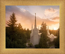 Load image into Gallery viewer, Portland High Glow
