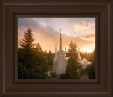 Load image into Gallery viewer, Portland High Glow
