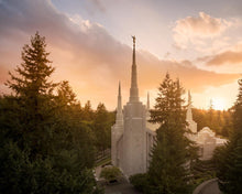 Load image into Gallery viewer, Portland High Glow
