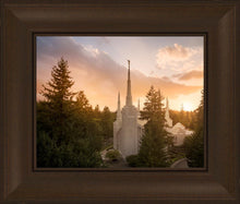 Load image into Gallery viewer, Portland High Glow
