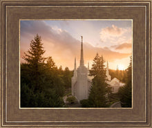 Load image into Gallery viewer, Portland High Glow
