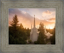 Load image into Gallery viewer, Portland High Glow
