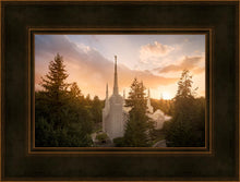 Load image into Gallery viewer, Portland High Glow
