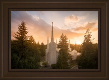 Load image into Gallery viewer, Portland High Glow
