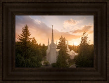Load image into Gallery viewer, Portland High Glow
