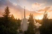 Load image into Gallery viewer, Portland High Glow
