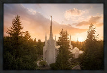 Load image into Gallery viewer, Portland High Glow
