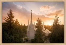 Load image into Gallery viewer, Portland High Glow
