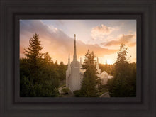 Load image into Gallery viewer, Portland High Glow
