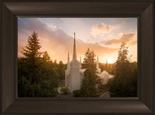 Load image into Gallery viewer, Portland High Glow
