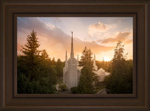 Load image into Gallery viewer, Portland High Glow
