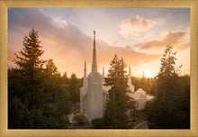 Load image into Gallery viewer, Portland High Glow
